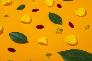 나뭇잎과 꽃이 있는 노란색 배경