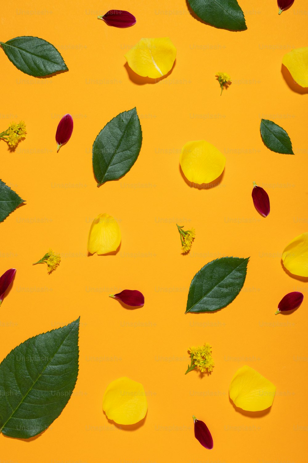 a yellow background with leaves and flowers on it