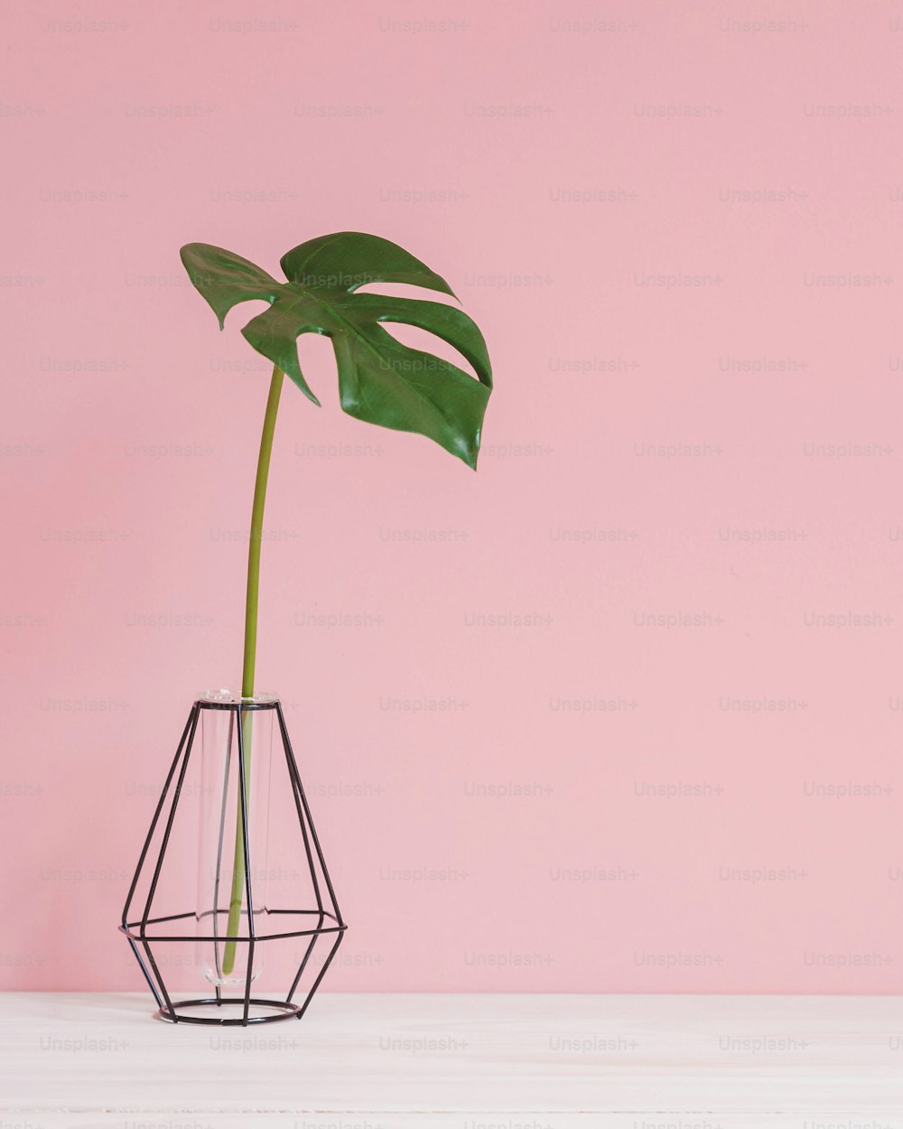 une plante dans un vase sur une table