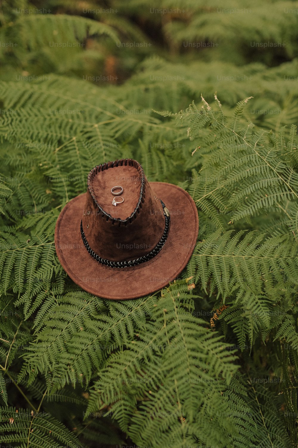 Un cappello marrone seduto in cima a una lussureggiante foresta verde