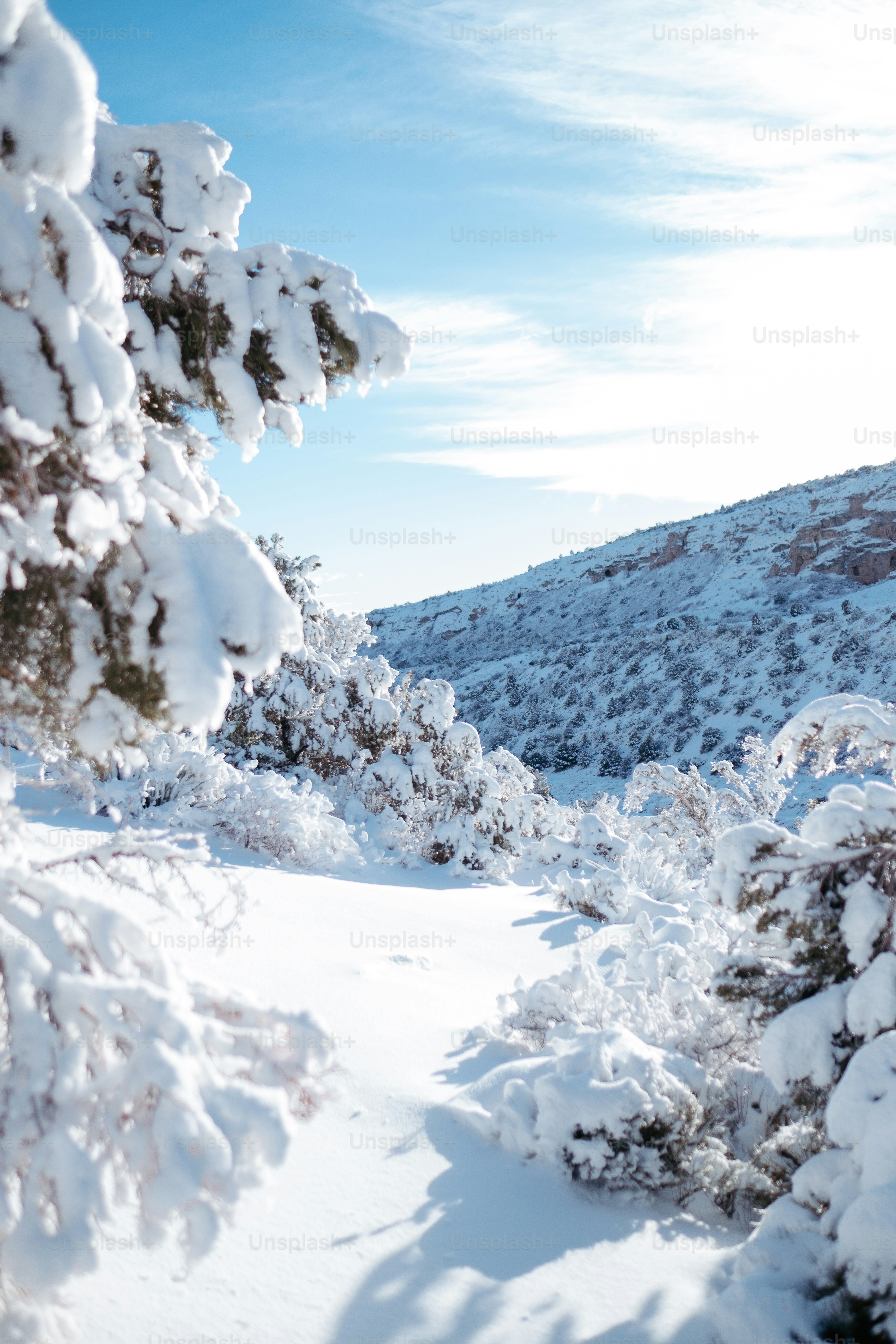 a man riding skis down a snow covered slope