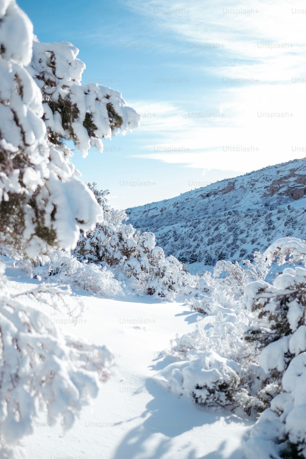 a man riding skis down a snow covered slope