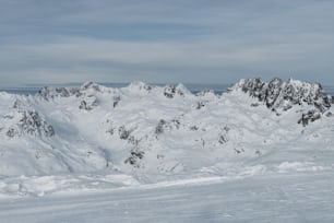 Un hombre montando esquís en la cima de una pendiente cubierta de nieve