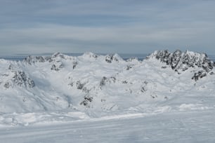 a man riding skis on top of a snow covered slope