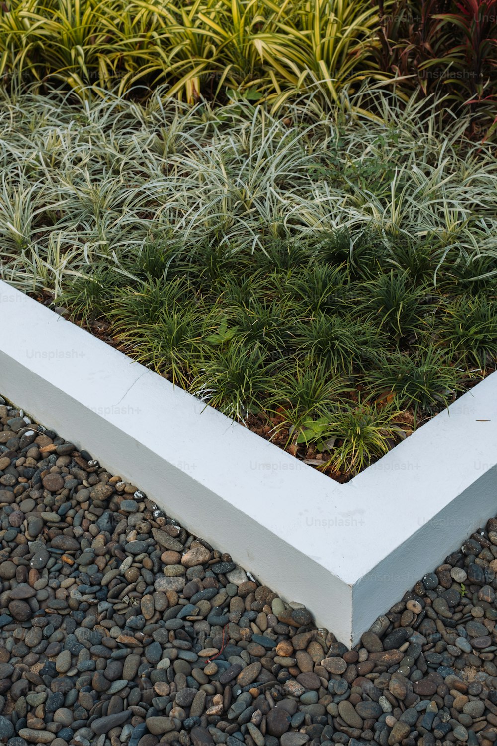 a white planter filled with lots of green plants