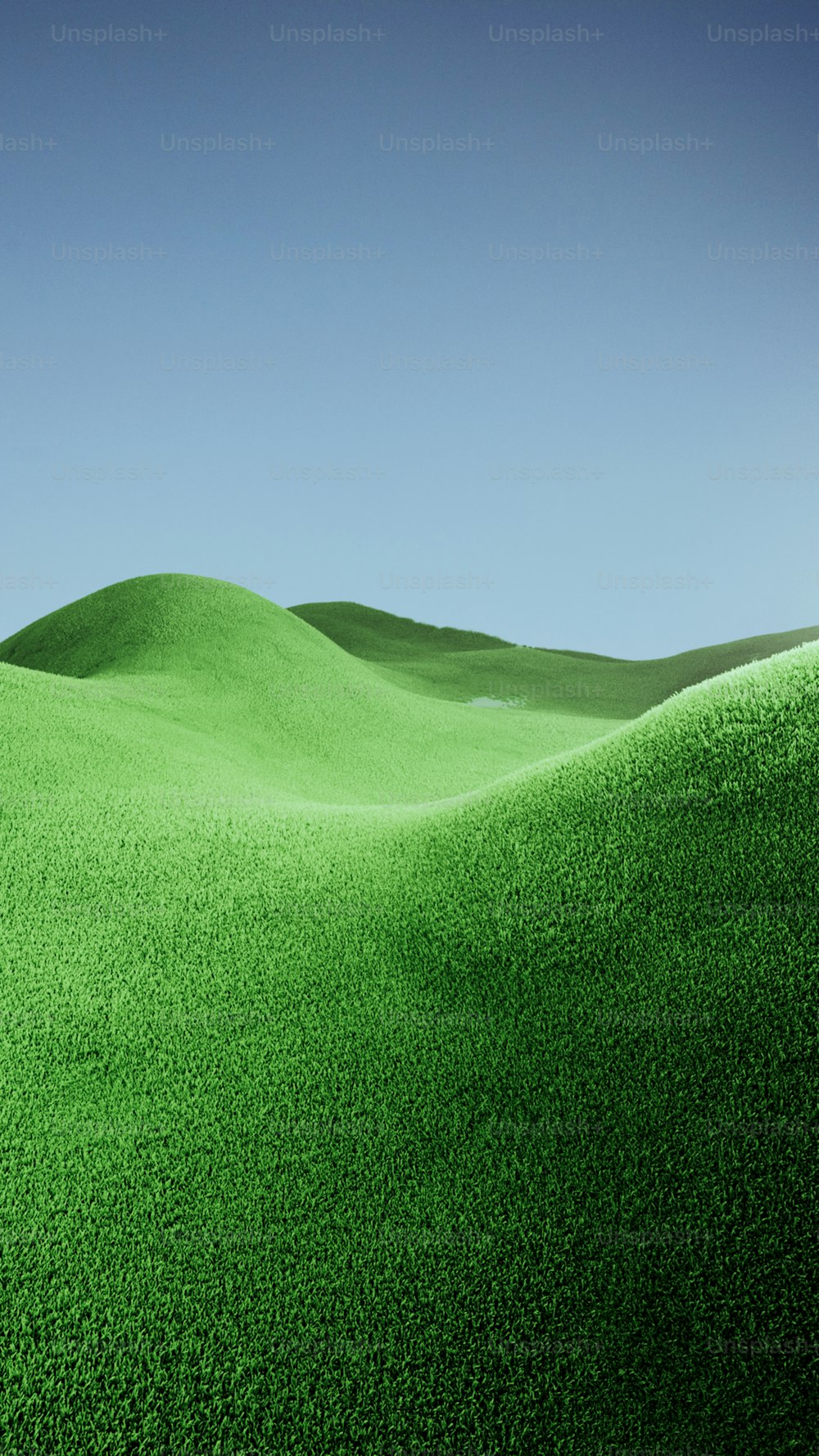 Ein Grasfeld mit blauem Himmel im Hintergrund