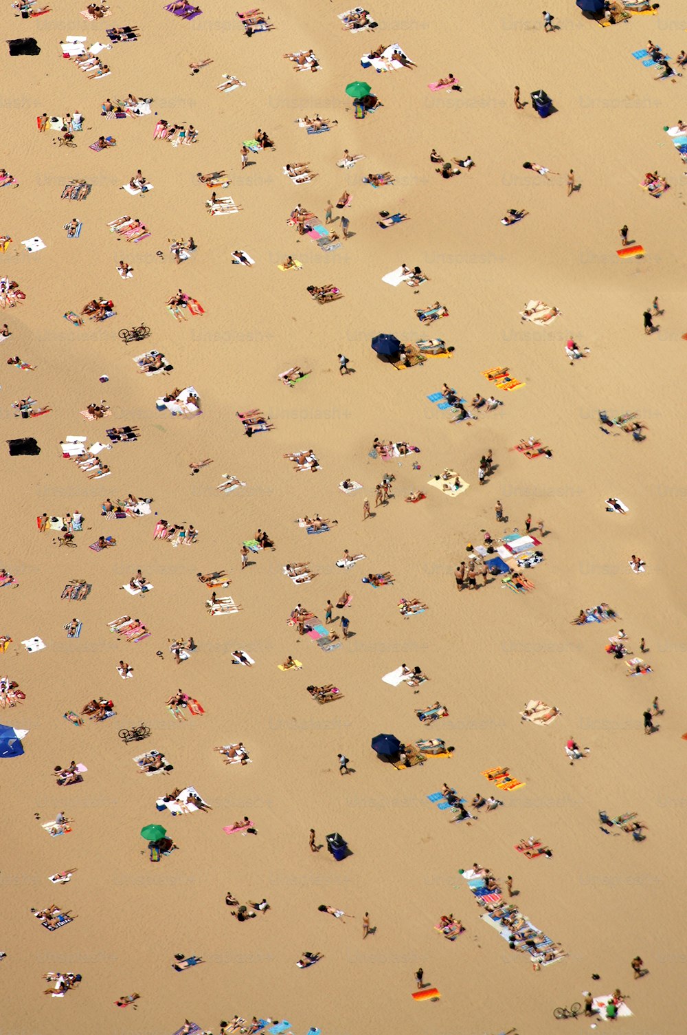 Un grande gruppo di persone che si trovano sulla cima di una spiaggia sabbiosa