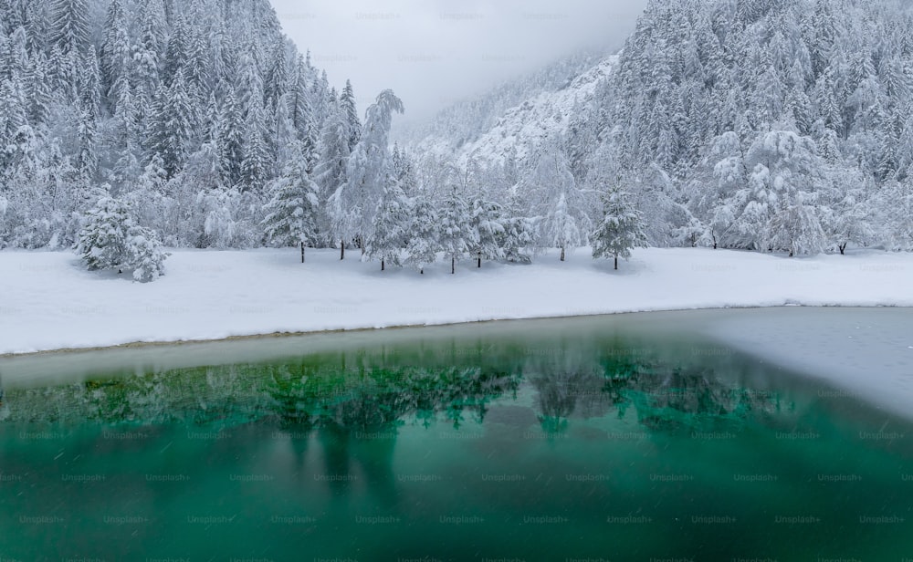 un cuerpo de agua rodeado de árboles cubiertos de nieve
