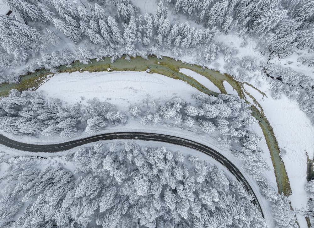 uma estrada sinuosa no meio de uma floresta coberta de neve