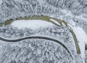 a winding road in the middle of a snow covered forest