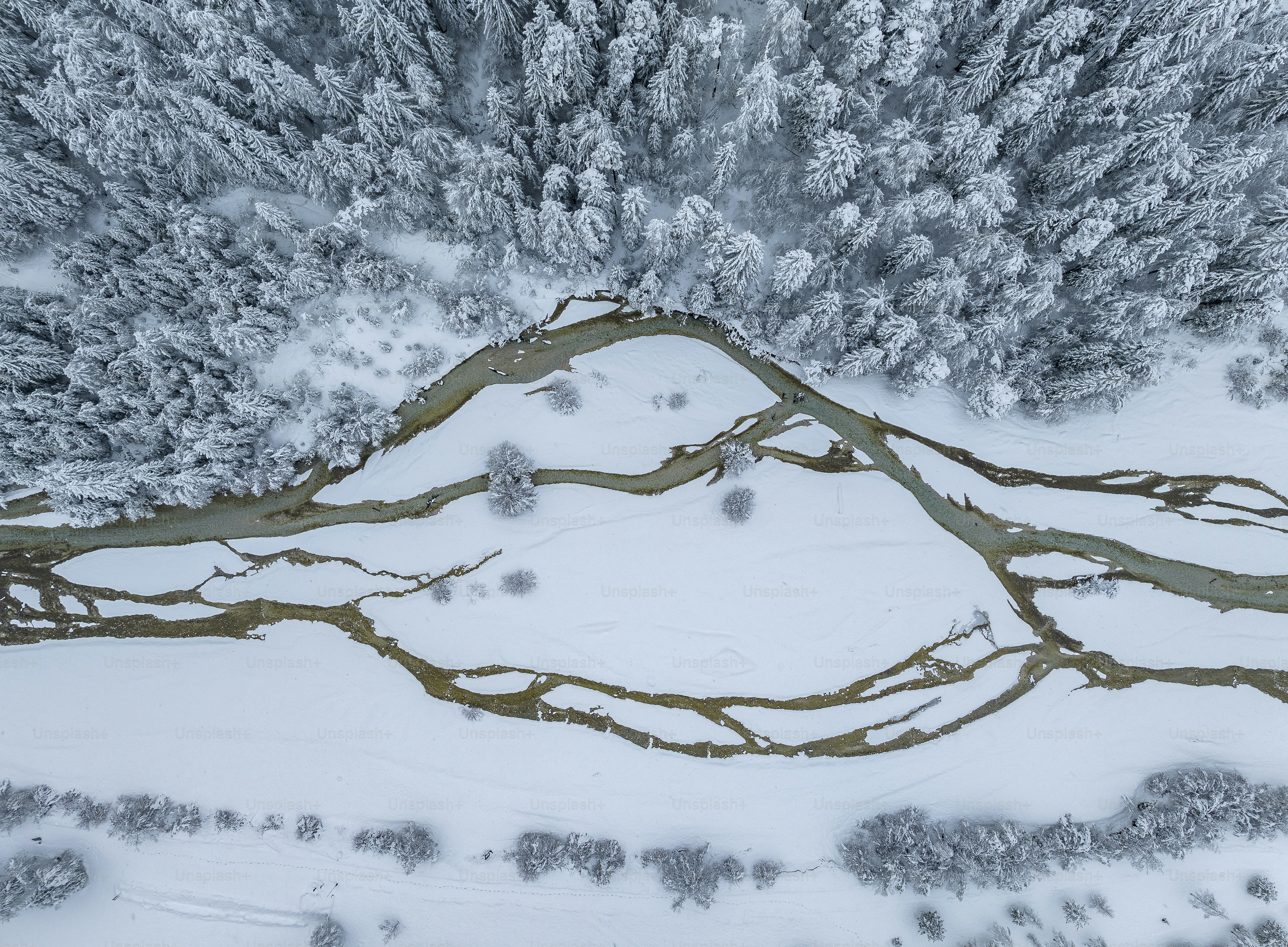An aerial view of a snow covered forest photo – Wallpaper Image on Unsplash