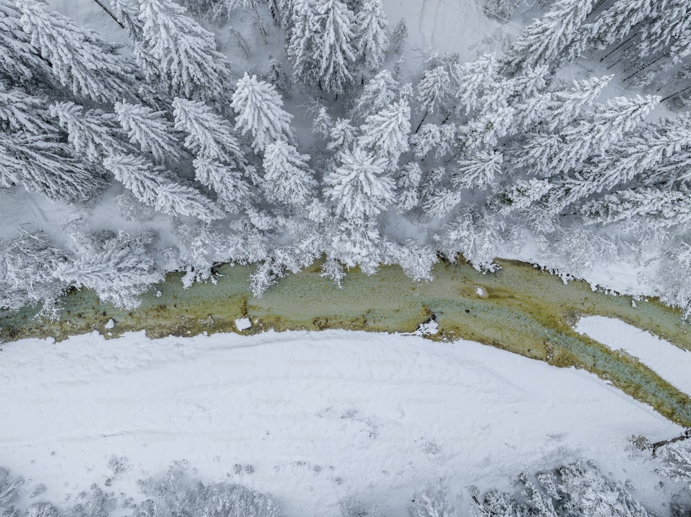 an aerial view of a snow covered forest