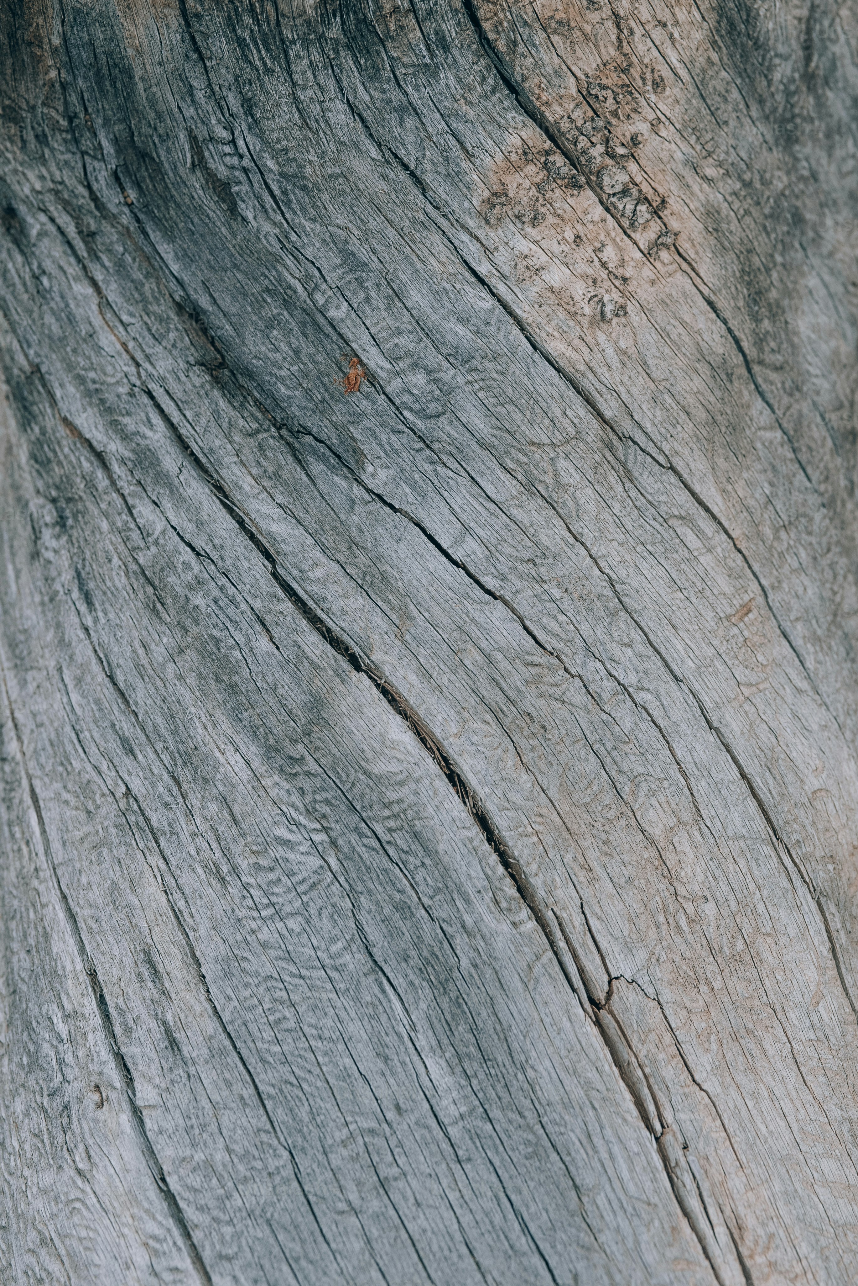a close up of a piece of wood
