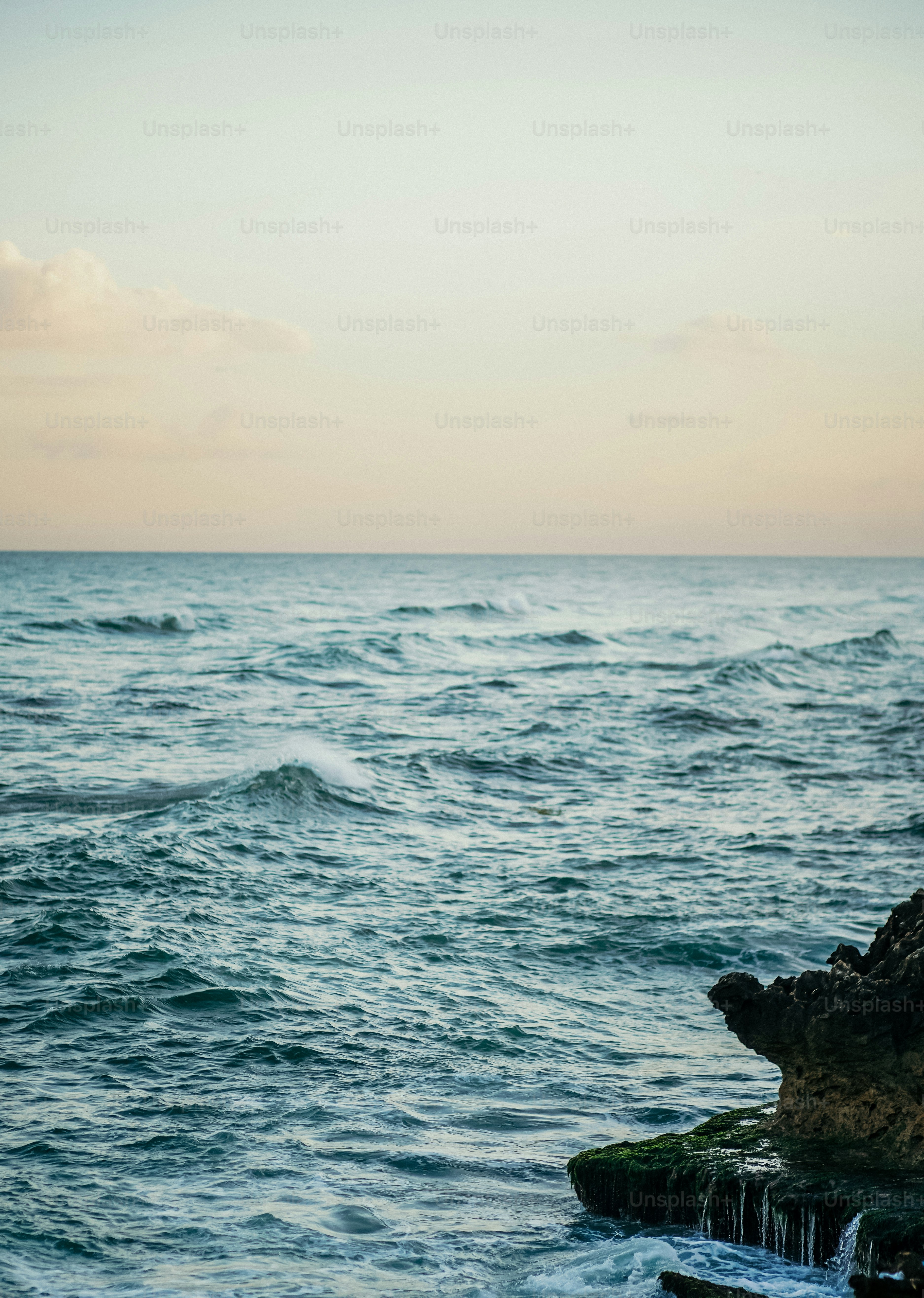 Ein Vogel sitzt auf einem Felsen mitten im Ozean