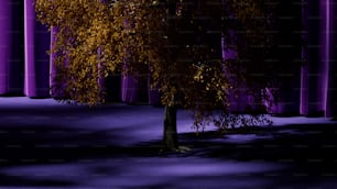 a lone tree in front of a purple curtain