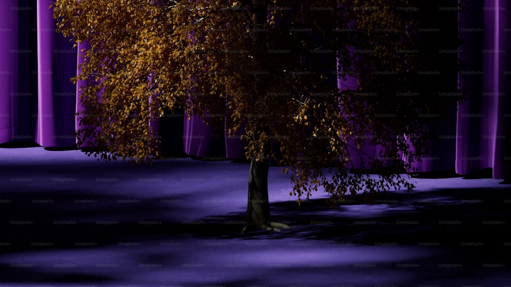 a lone tree in front of a purple curtain