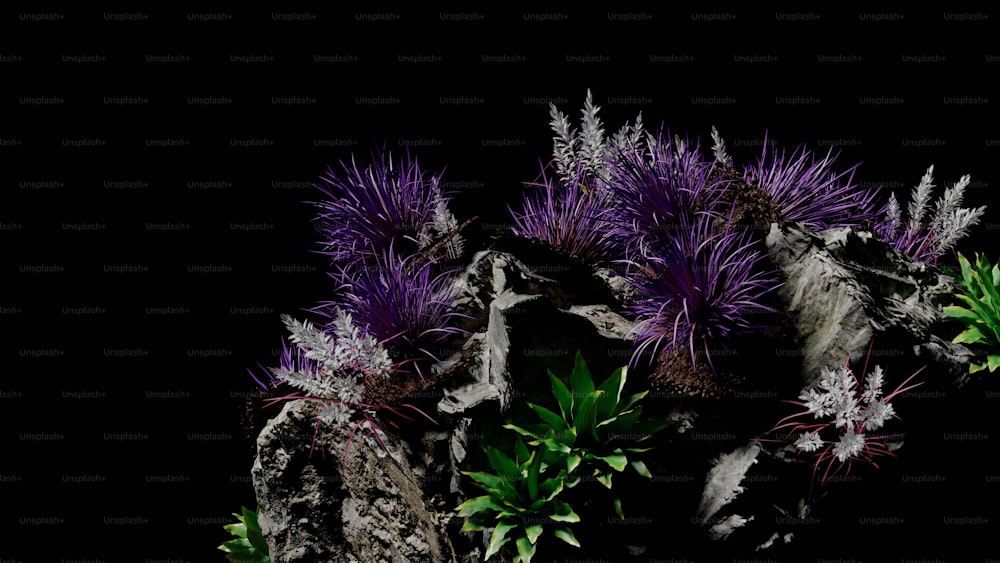 Un gruppo di fiori viola seduti sulla cima di una roccia