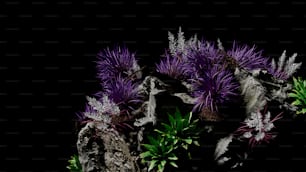Un groupe de fleurs violettes assises au sommet d’un rocher