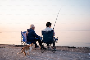 a couple of people sitting in lawn chairs next to a cat