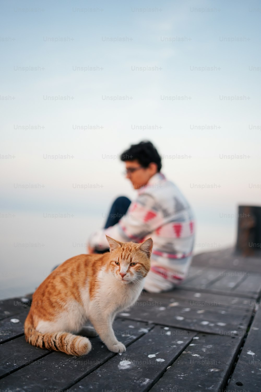a man sitting on a dock next to a cat