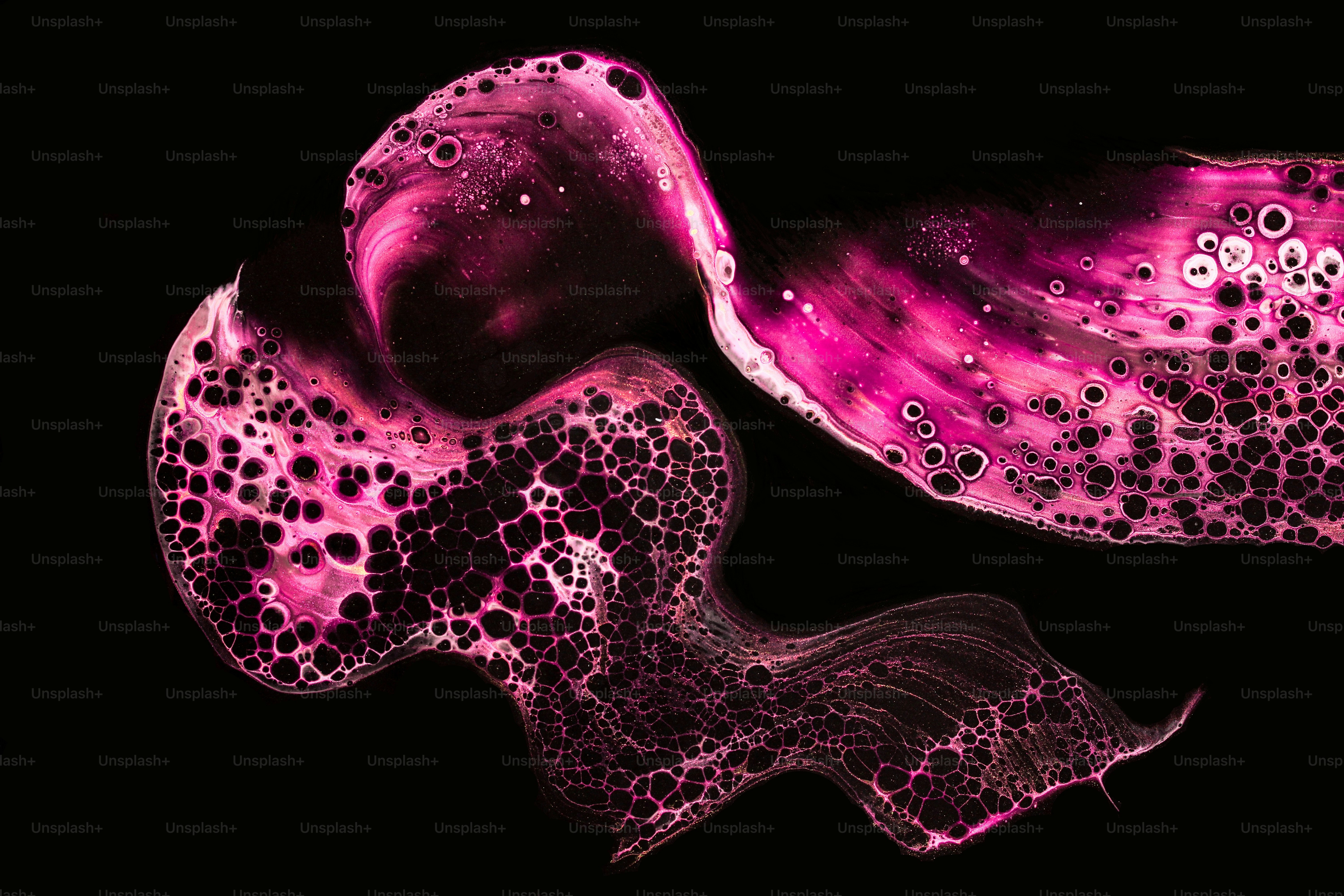 a close up of a purple flower on a black background