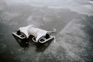 凍った湖の上に座っているアイススケート靴のペア