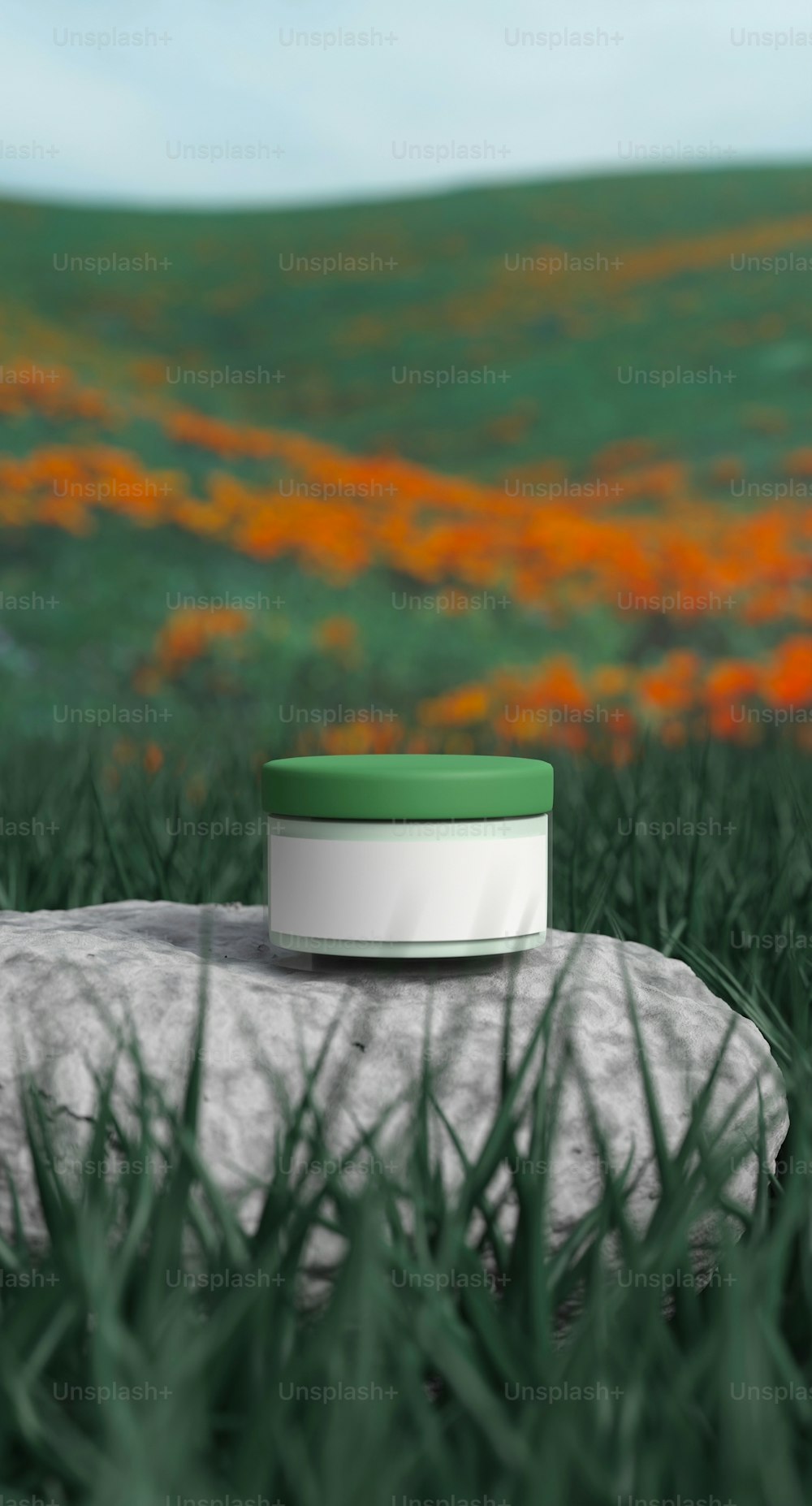 Un recipiente verde y blanco sentado encima de una roca