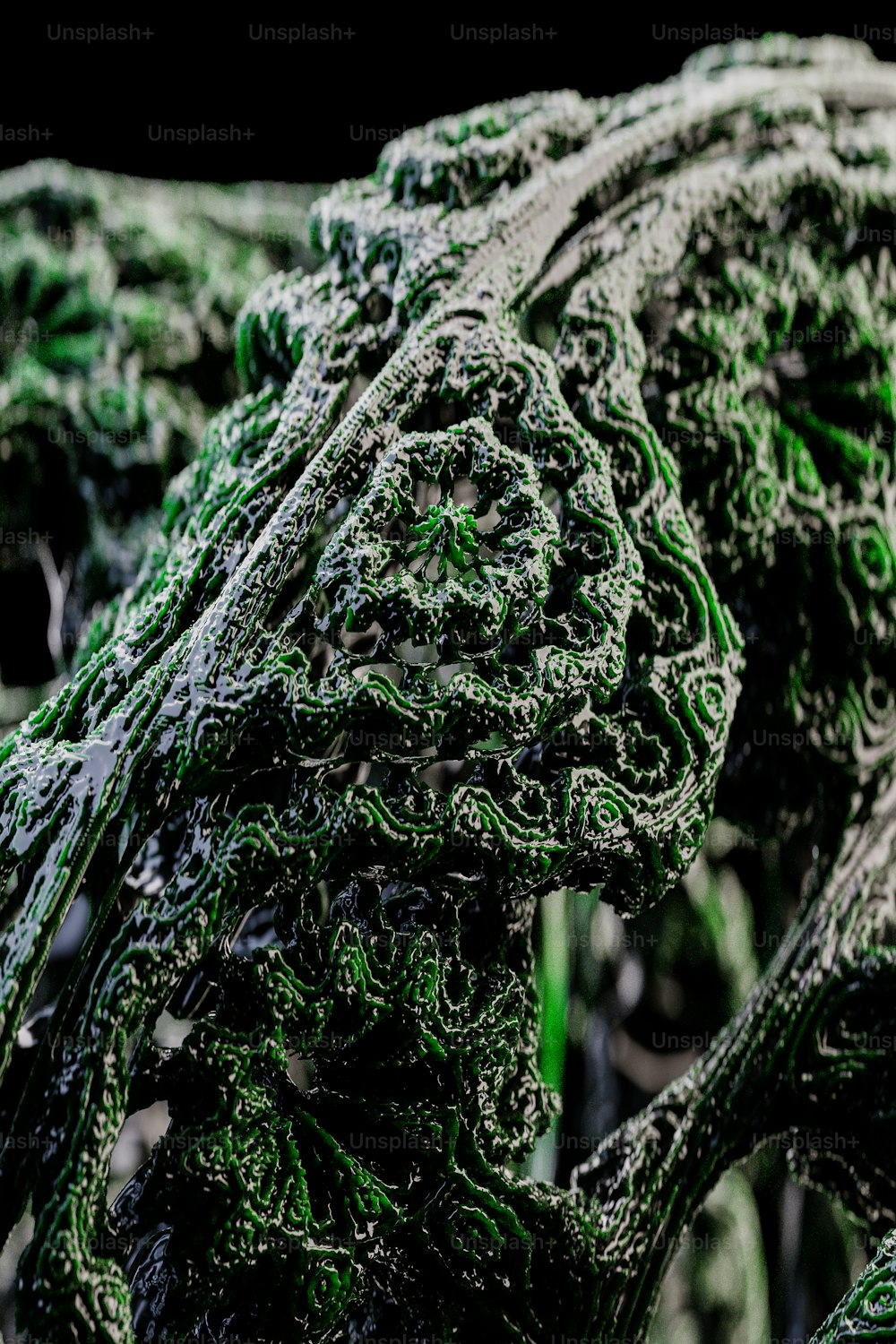 a close up of a bunch of green plants