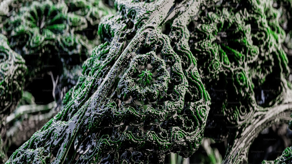 a close up of a bunch of green plants