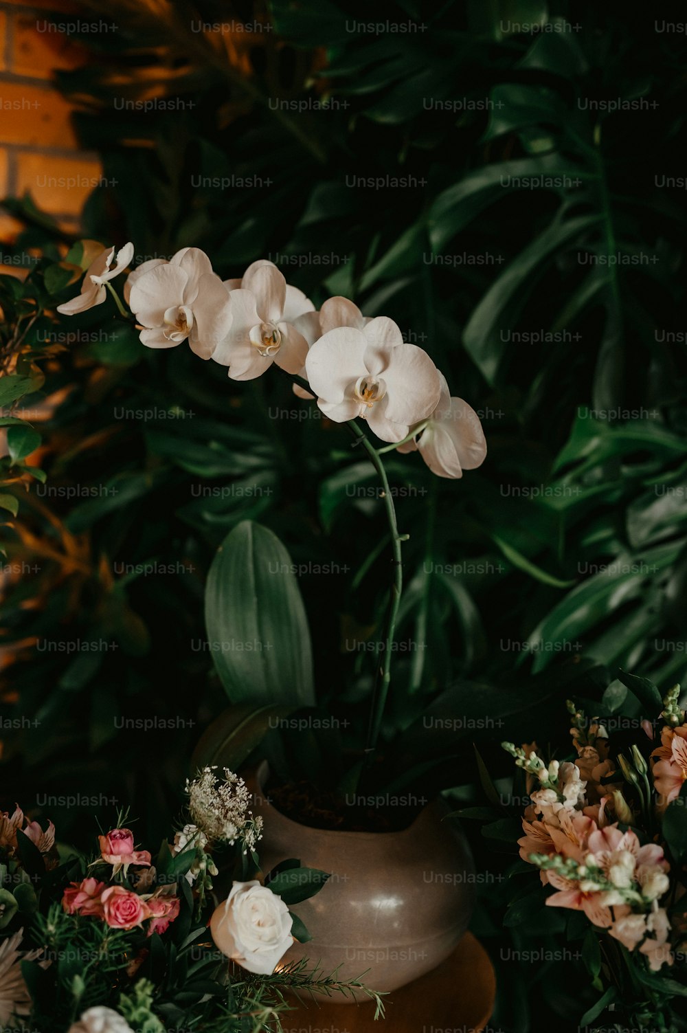 a vase filled with white flowers next to a wall of greenery