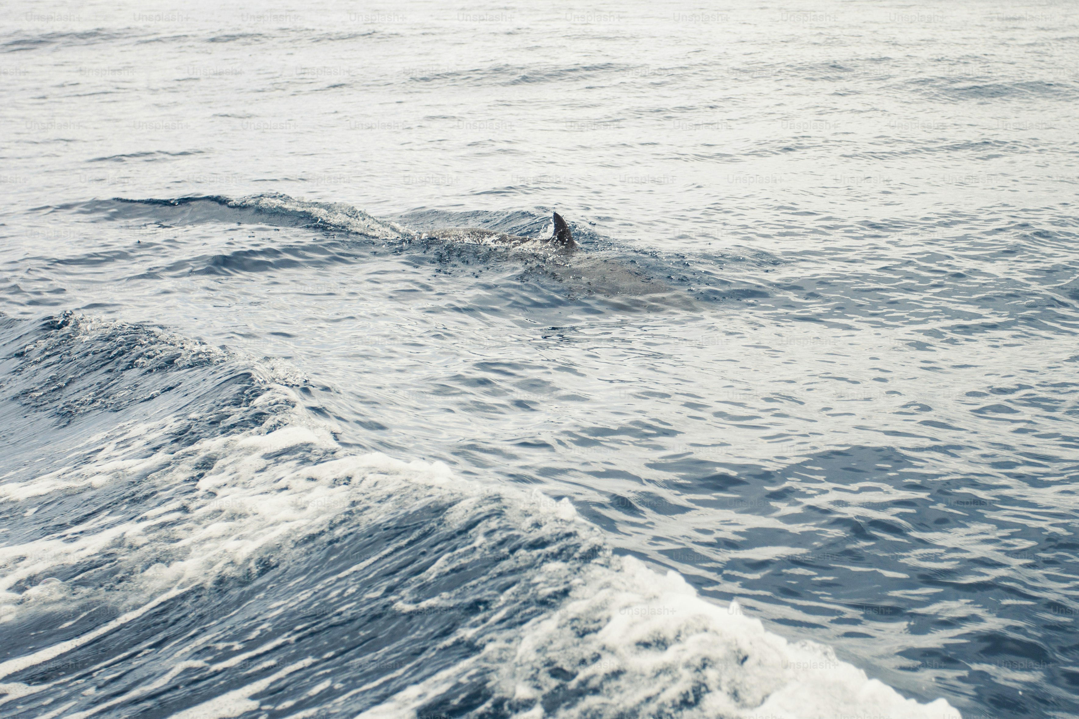 a person swimming in the ocean on a surfboard