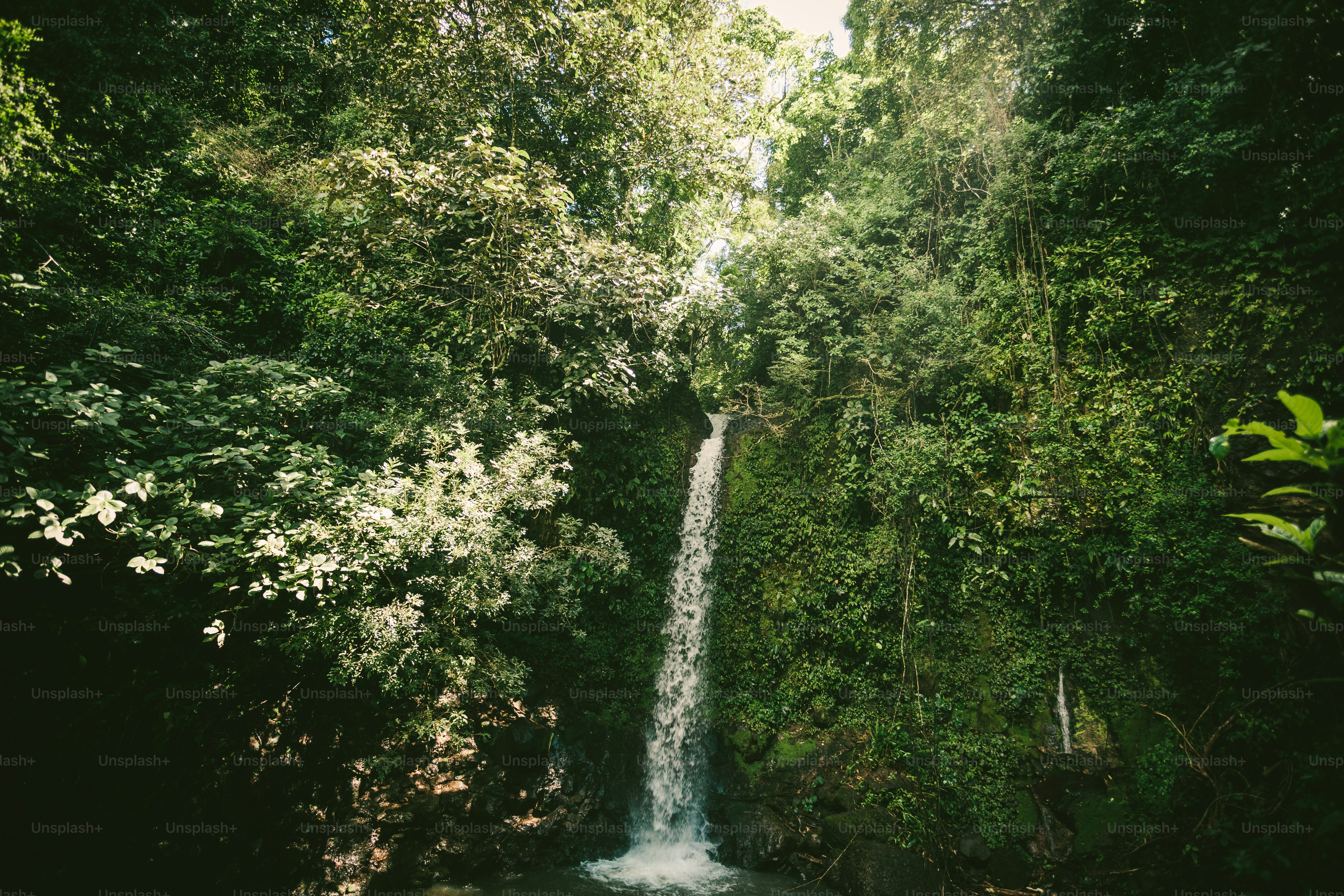 a small waterfall in the middle of a forest