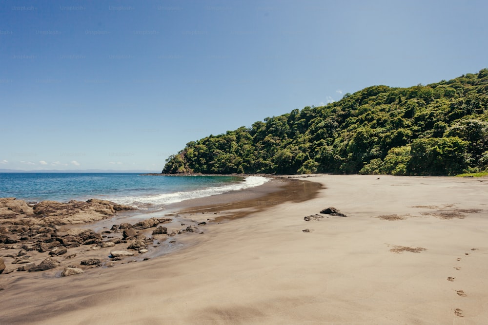 a sandy beach next to a forest covered hillside