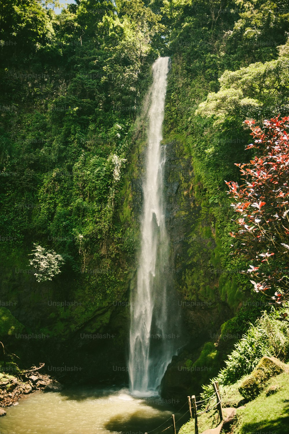 uma grande cachoeira no meio de uma floresta