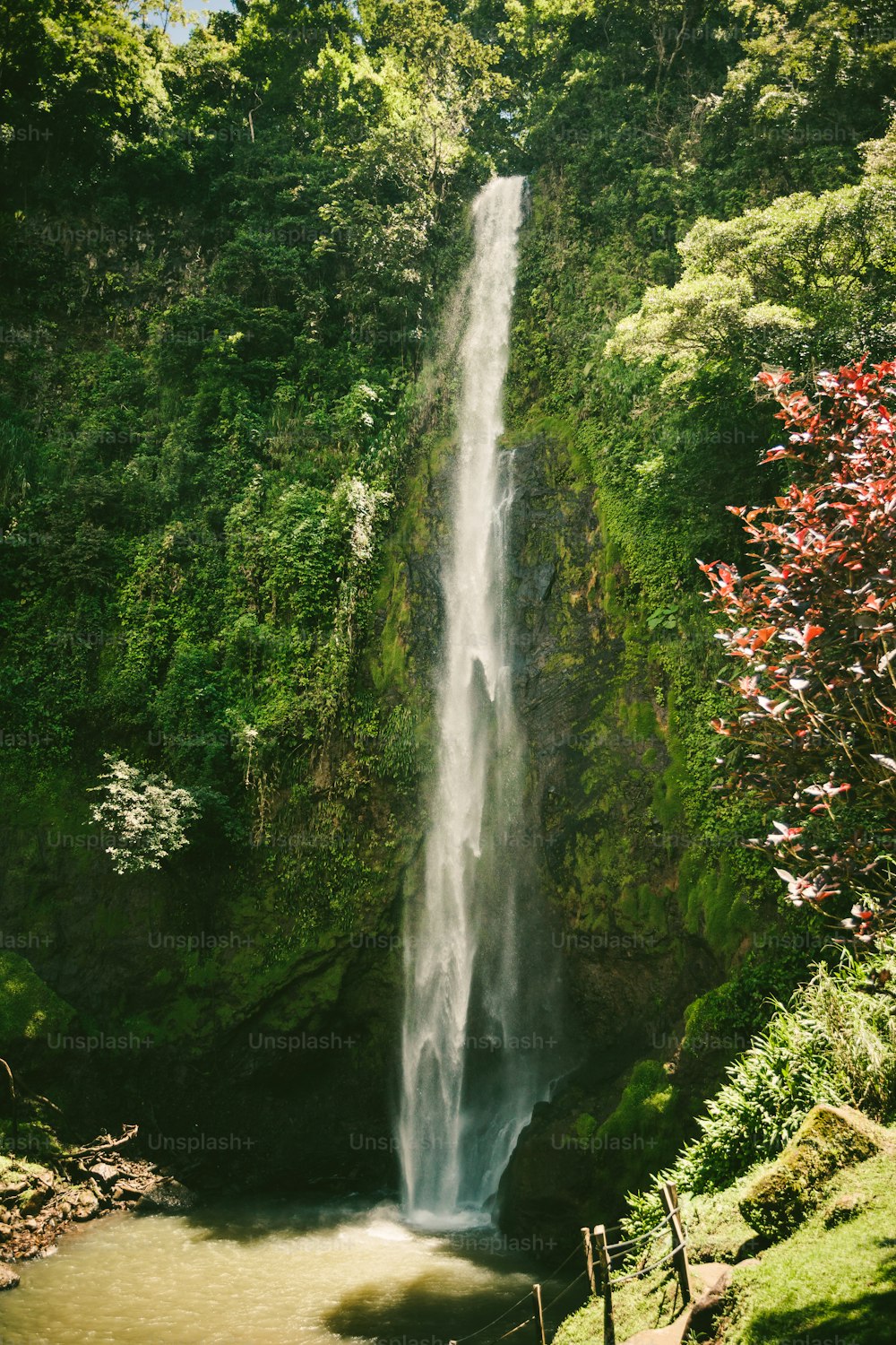 Ein großer Wasserfall mitten im Wald