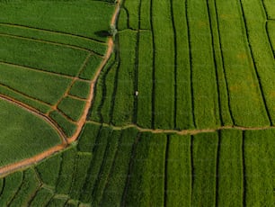 an aerial view of a lush green field