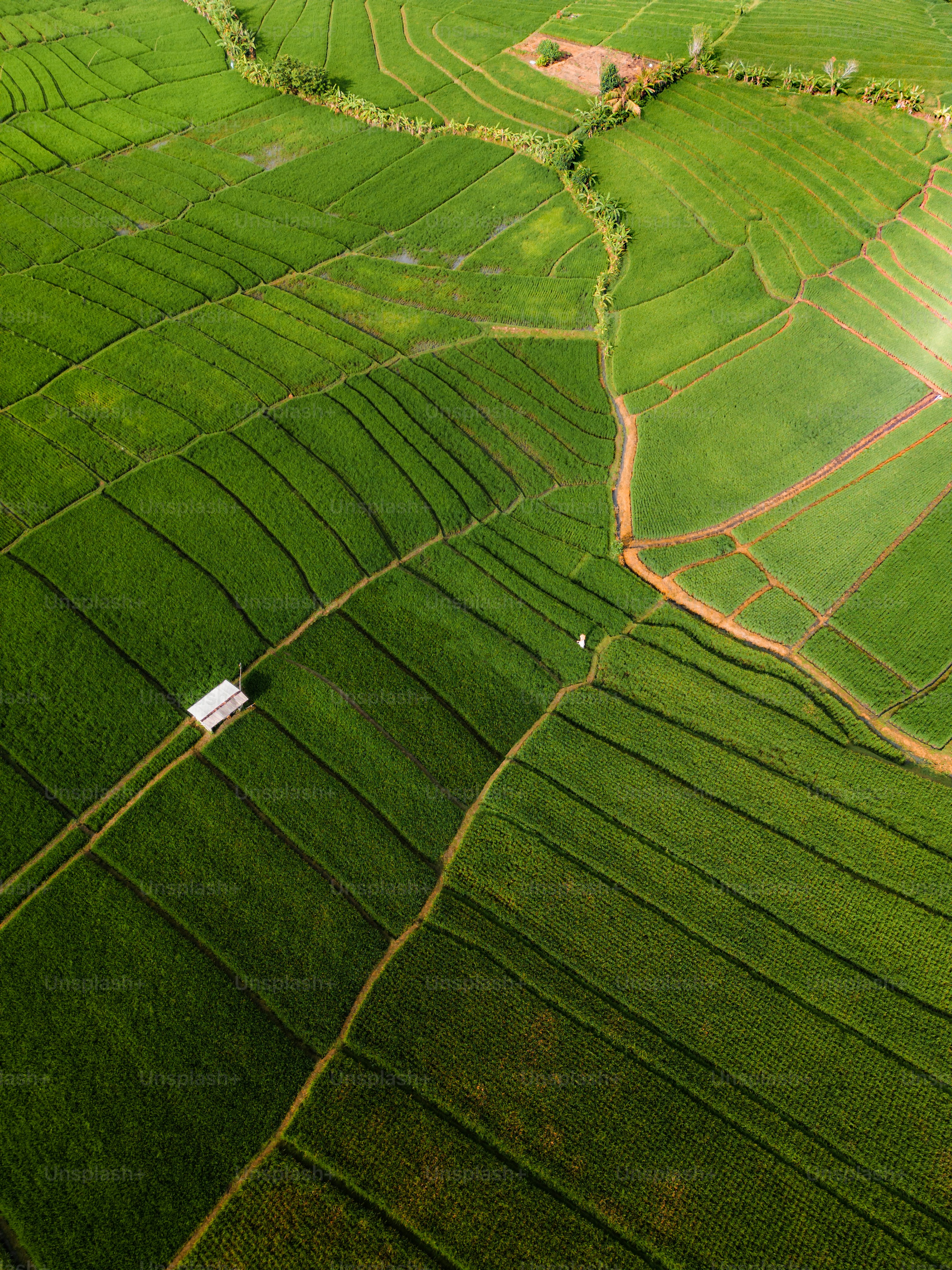 an aerial view of a green field with a house in the middle