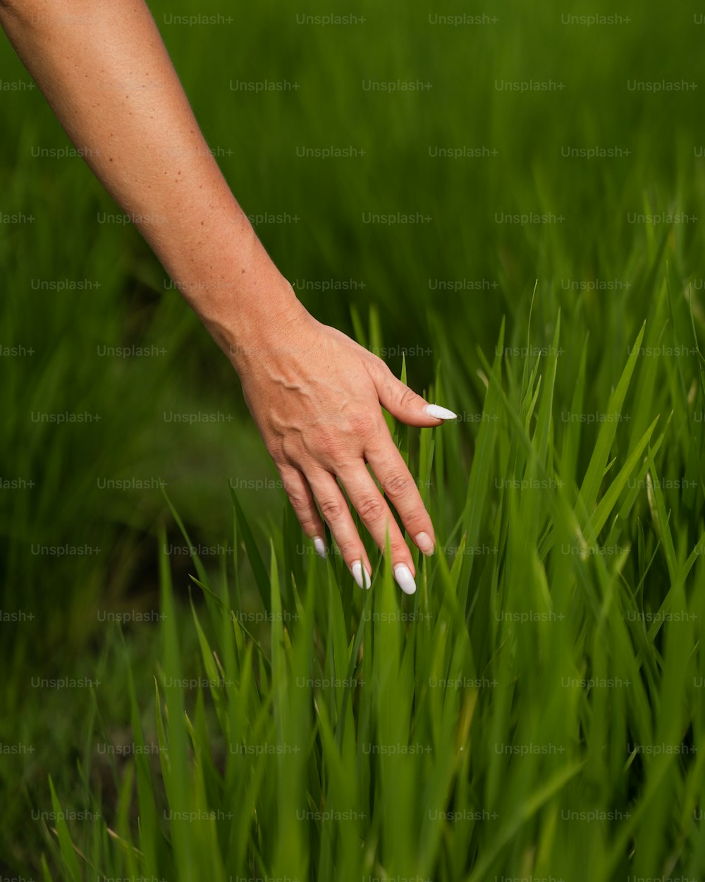 a woman's hand reaching for something in the grass