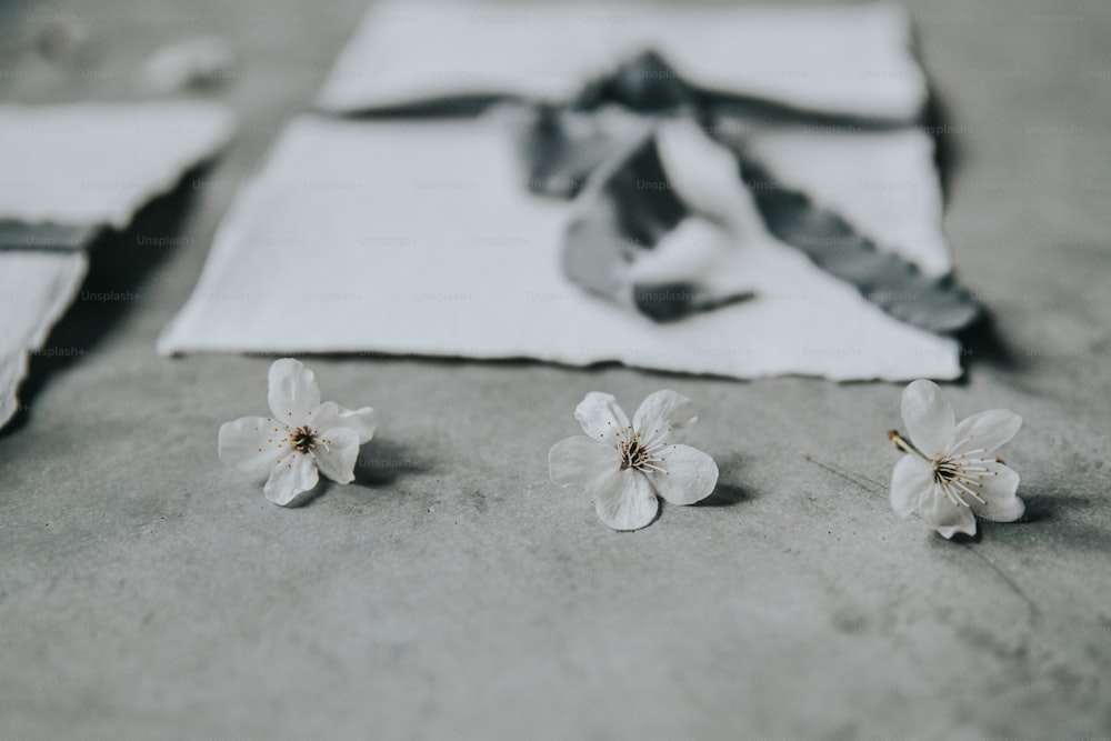 tre piccoli fiori bianchi seduti sopra un tavolo