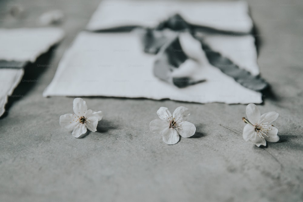 Tres pequeñas flores blancas sentadas encima de una mesa