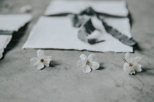 Tres pequeñas flores blancas sentadas encima de una mesa