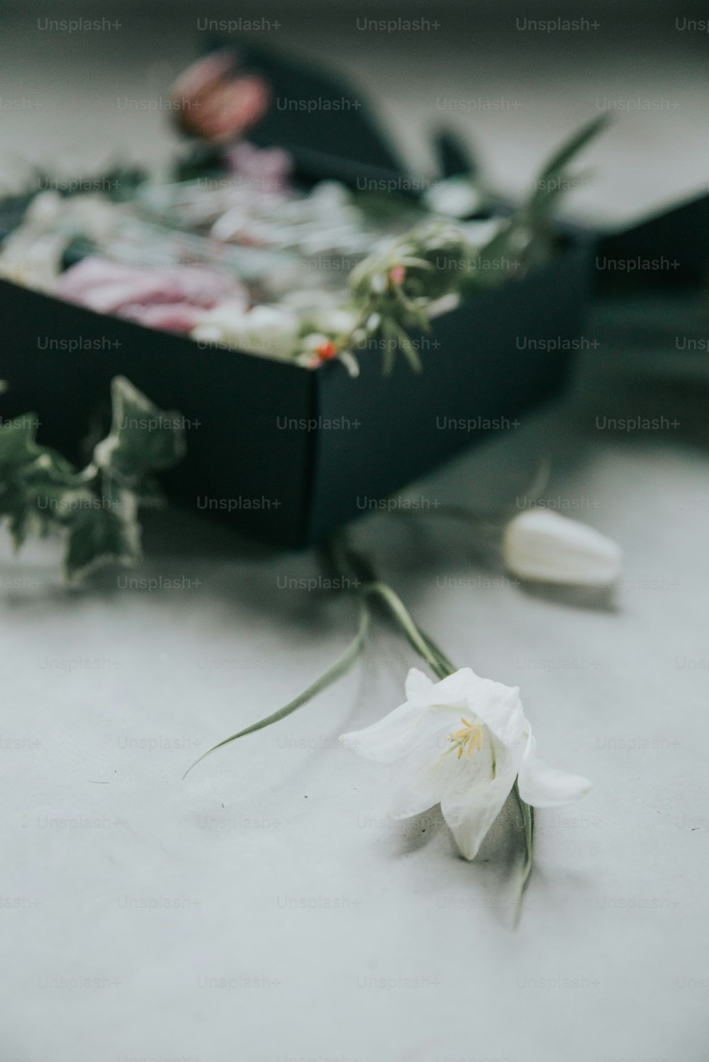 uma flor branca deitada em uma mesa ao lado de uma caixa preta