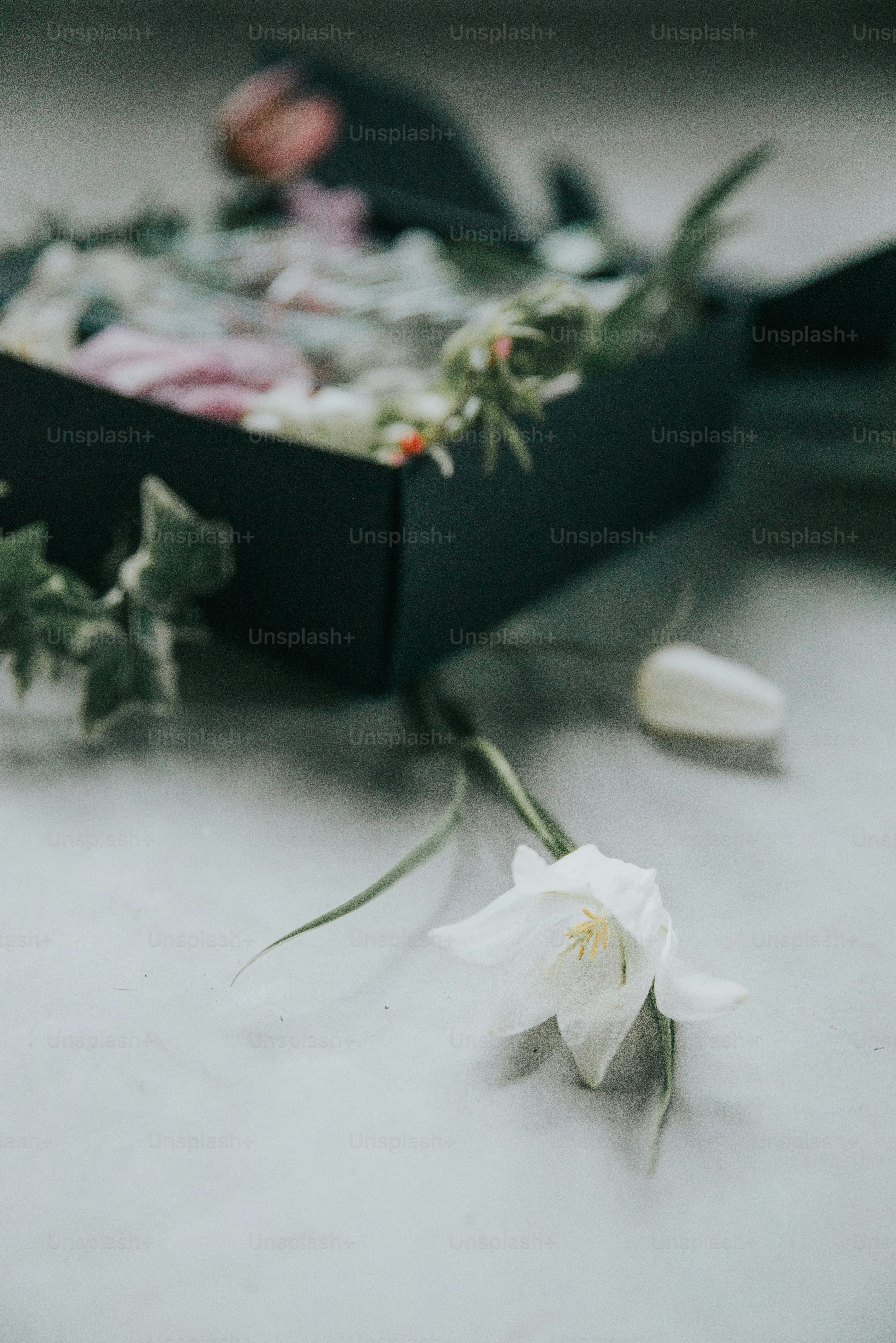 premium_photo-1674065309102-bcb5d687cac2?ixid=M3wxMjA3fDB8MXxzZWFyY2h8M3x8JUUwJUI4JTg4JUUwJUI4JUIxJUUwJUI4JTk0JUUwJUI4JTk0JUUwJUI4JUFEJUUwJUI4JTgxJUUwJUI5JTg0JUUwJUI4JUExJUUwJUI5JTg5JUUwJUI4JTg3JUUwJUI4JUIyJUUwJUI4JTk5JUUwJUI4JUE4JUUwJUI4JTlFfGVufDB8fHx8MTcxOTE5NzU4Nnww\u0026ixlib=rb-4.0.3