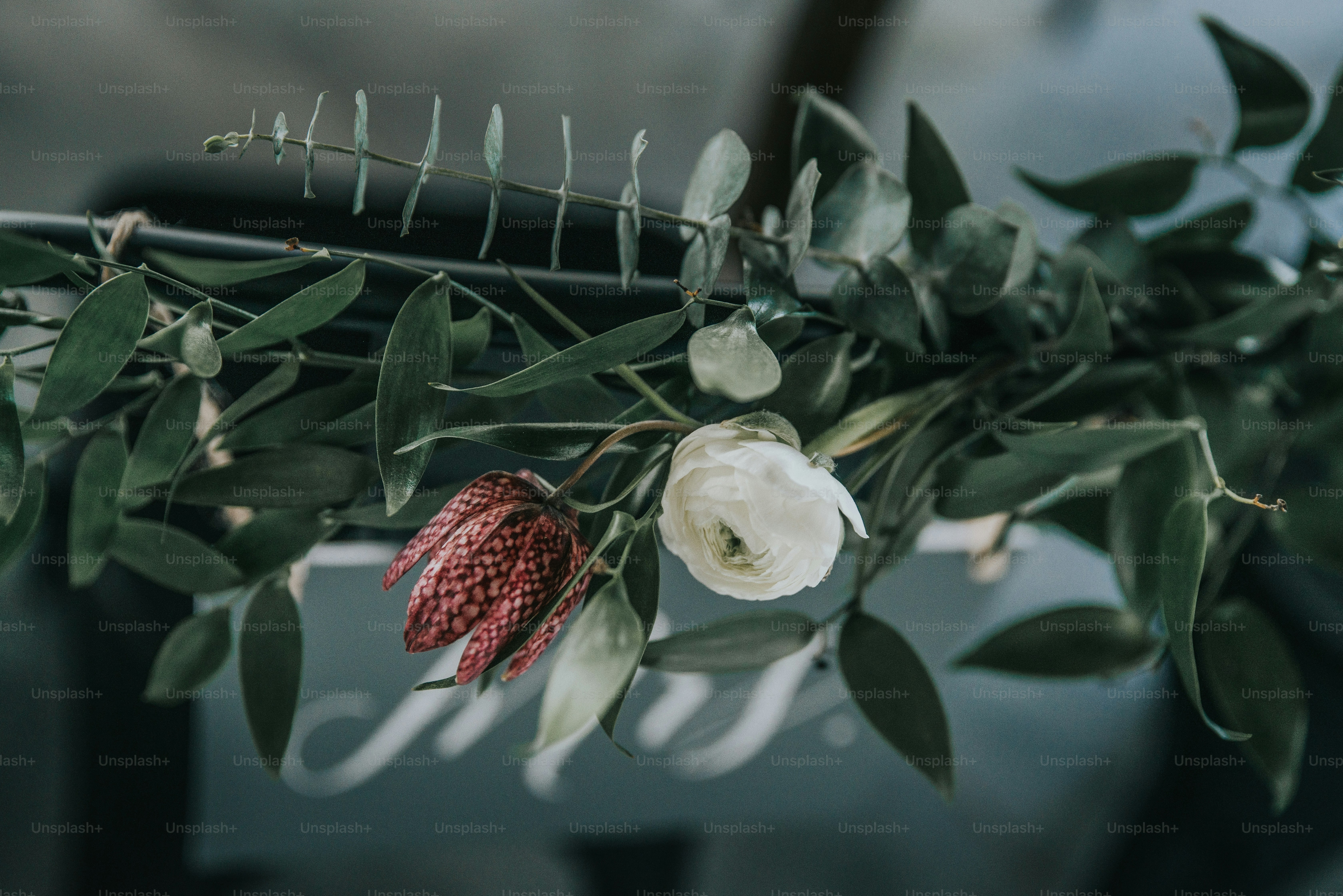 Nahaufnahme einer Blume auf einem Ast