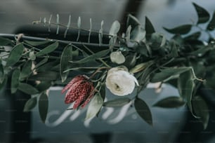 a close up of a flower on a branch