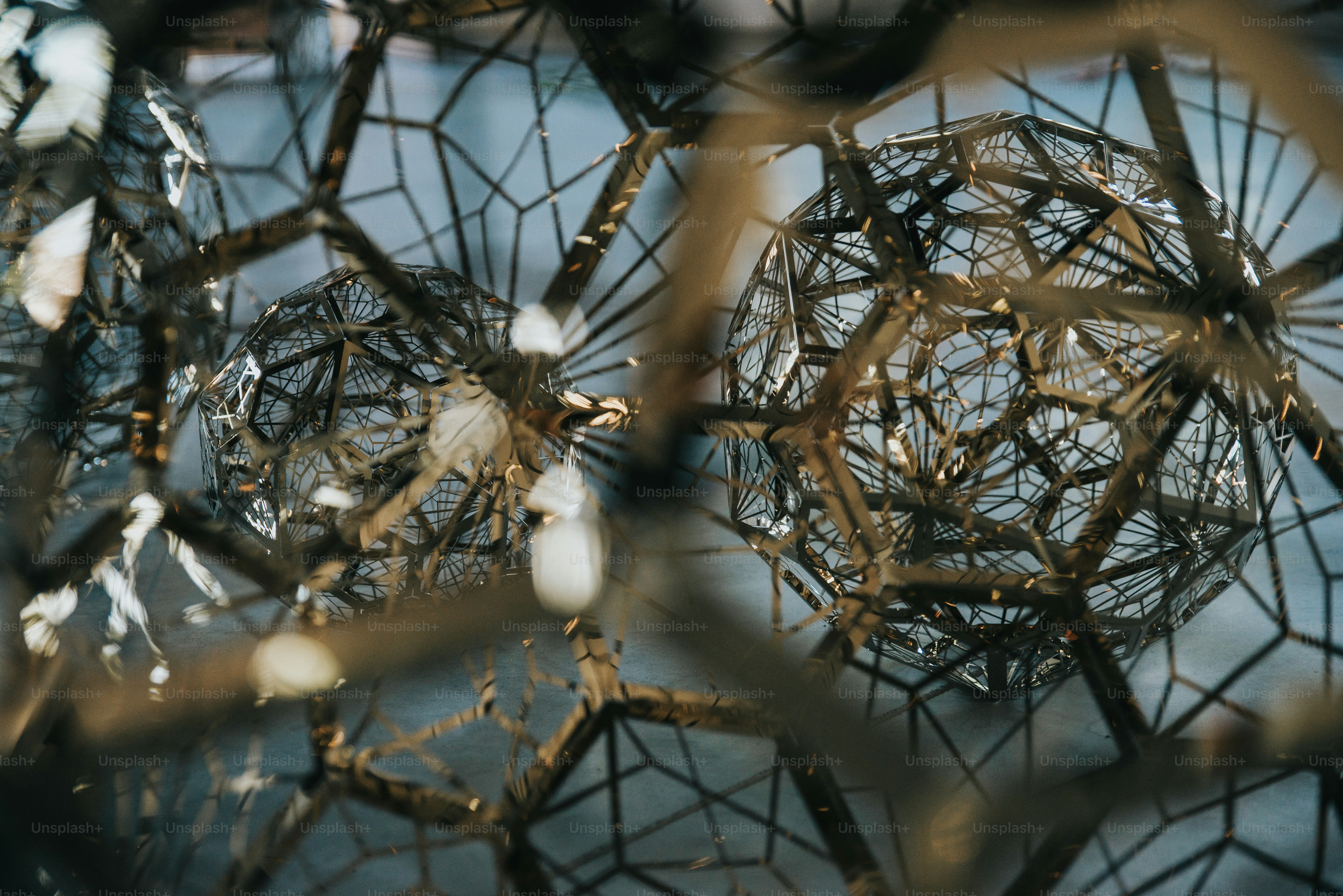 the reflection of a tree in a puddle of water