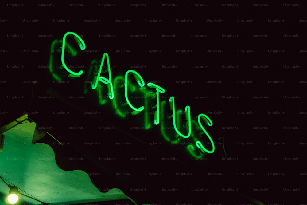 a neon sign that reads cactus on a building