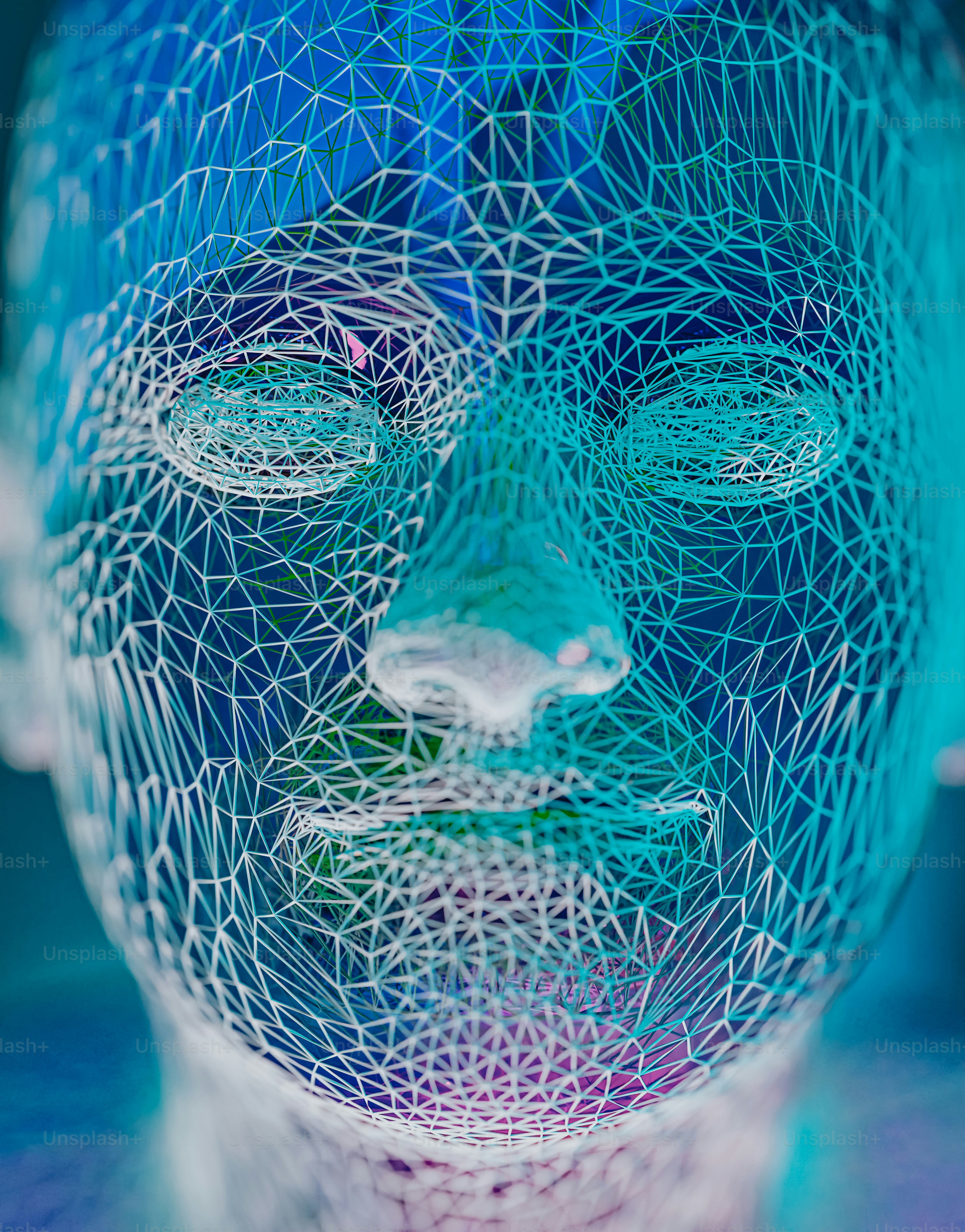 a person's face is made up of lines