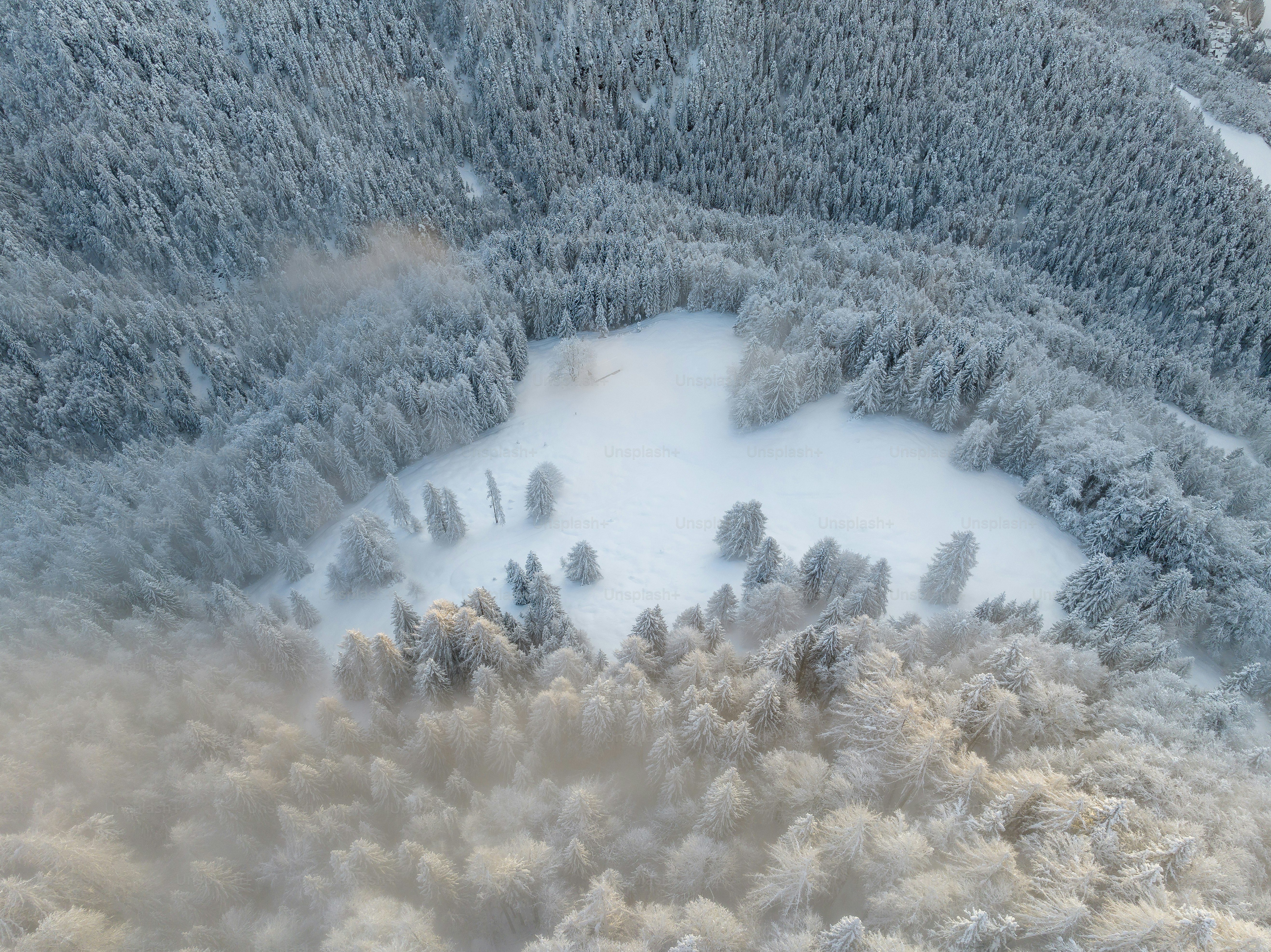 H1702 Cartes De Vœux De Noël Imprimées En Aluminium Avec Des Pins Enneigés Et Un Message De Noël En Feuille Rouge. Le Lot Comprend 25 Cartes De Vœux