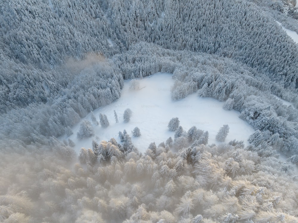雪に覆われた森�の空撮